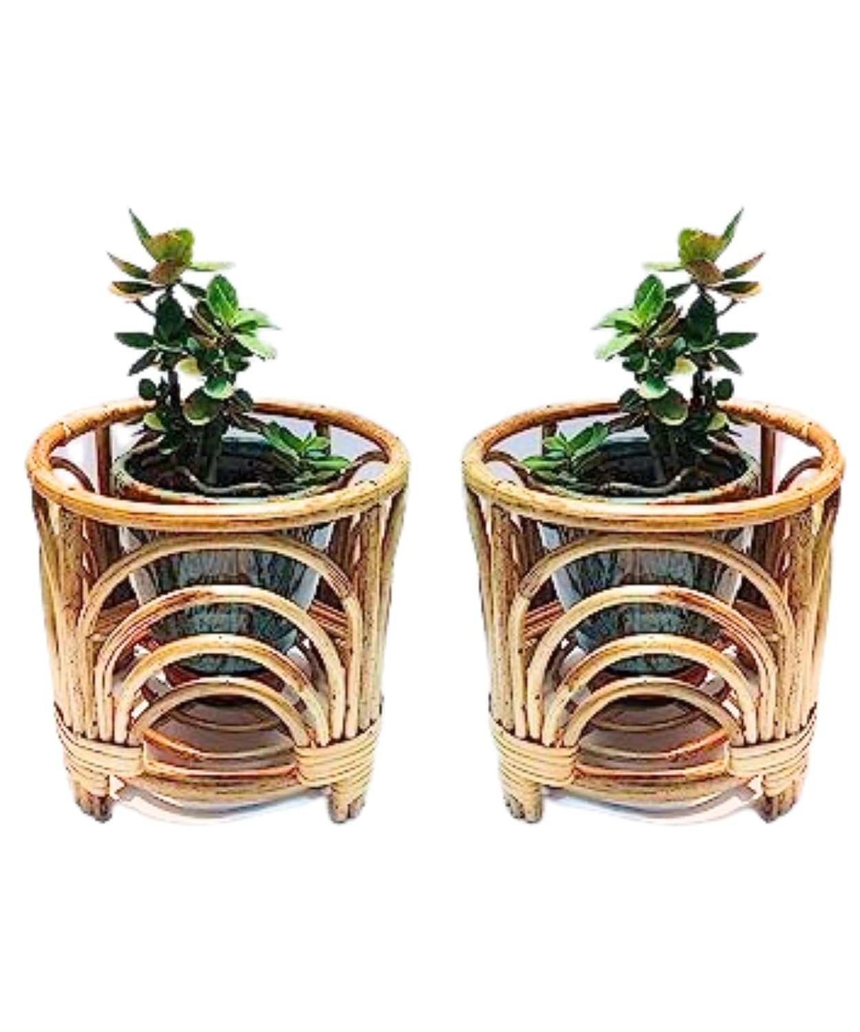 Cane Plant Stand – Indoor & Outdoor Planter Holder for Stylish Home & Garden Décor(pack of 2)