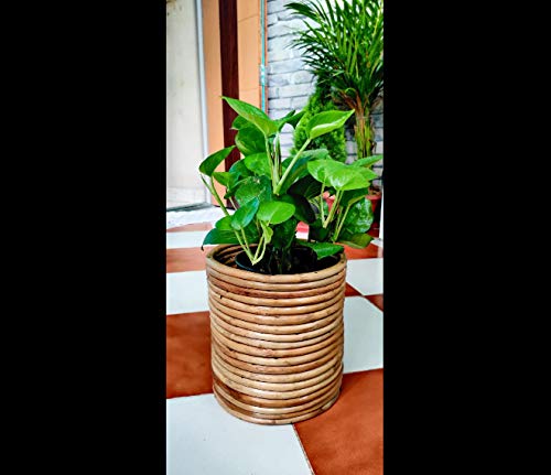 Bamboo Cane (Rattan) Planter - Storage Basket - Office Basket (20x20x20) cm