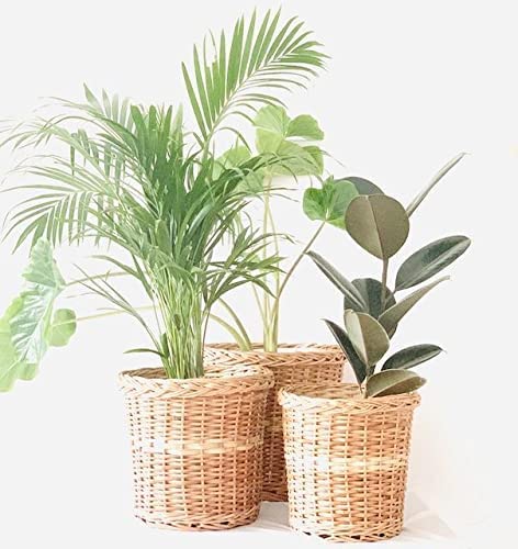Bamboo Wicker Planter Stand for Home, Terrace,Living Room, Balcony, Indoor, Outdoor Garden,Storage Basket Flower Pot (Pack of 3)
