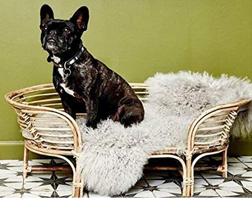 Bamboo Cane Pet Bed for Dogs and Cats with Comfortable Foam Mattress