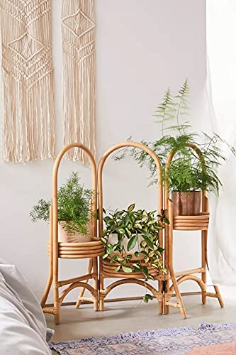 Bamboo Cane Planter 3 in 1 Stand for Balcony Indoor and Outdoor
