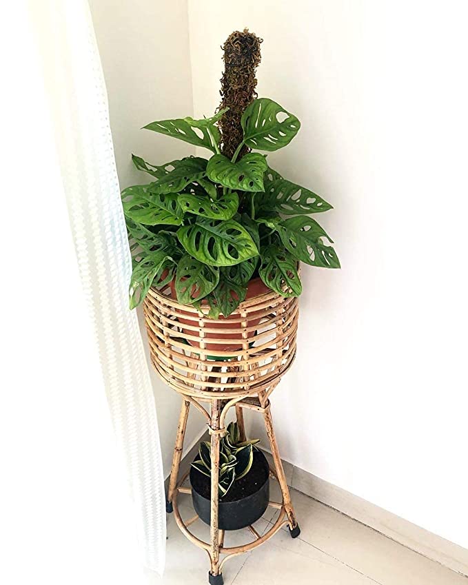 Cane Bamboo Planter Stand for Home Indoor, Outdoor, Living Room, Balcony, Garden