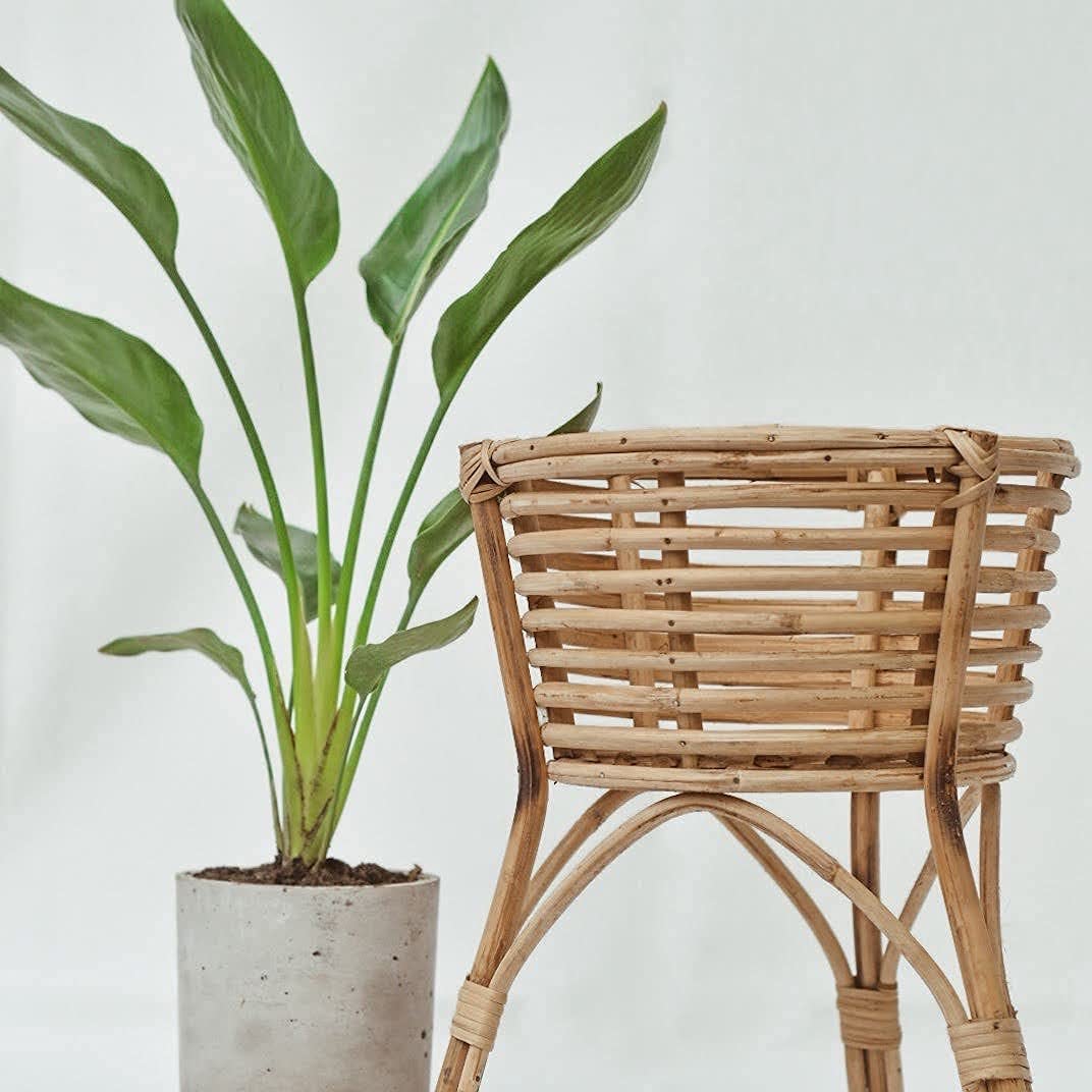 Cane Bamboo Planter Stand (Set of 2) for Indoor Garden