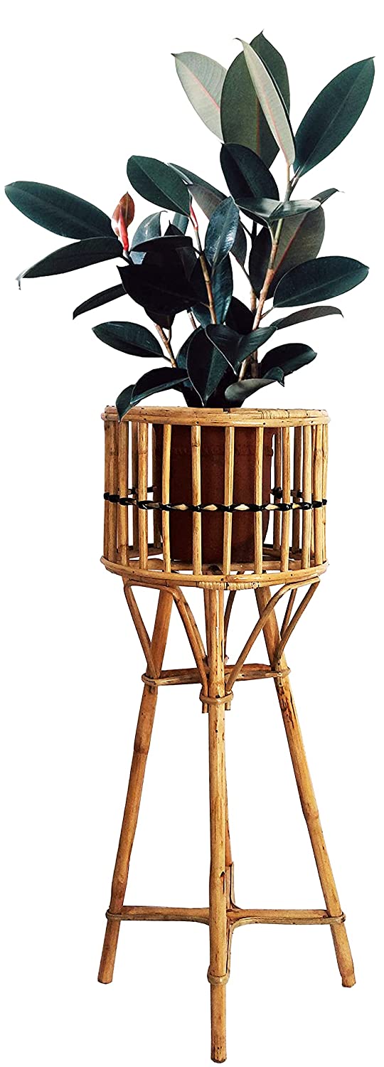 Bamboo Cane Planter Stand Nature Handcrafted for Living Room For Decor, Balcony,outdoor,indoor