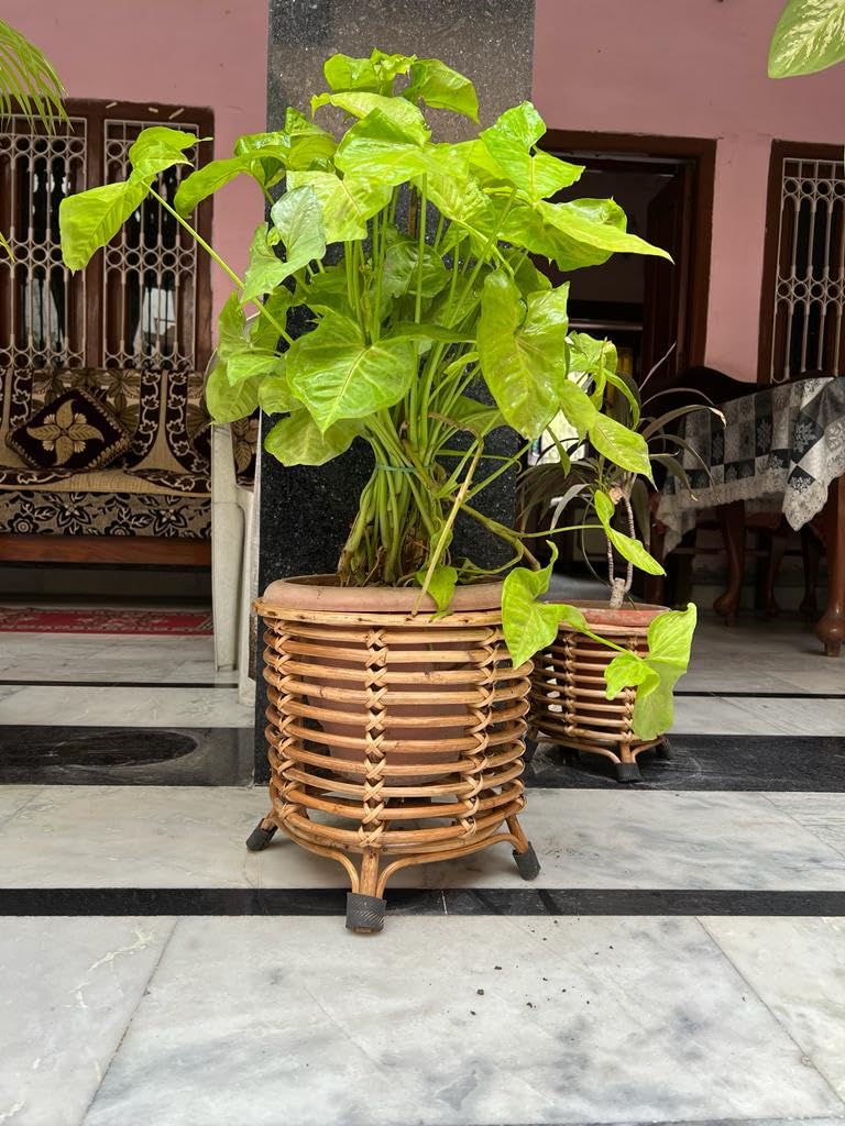 Cane Flower Pot Stand,Planter Stand,Holder for Indoor Plants for Balcony, Livingroom, Kitchen, Garden, Hall (Set of 2 Baskets)