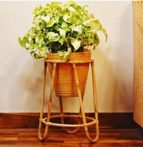 Bamboo Cane Plant Stand | Indoor Flower Pot Holder for Home, Garden, Balcony, Living Room | 14 Inch Height | Handmade | Eco-Friendly | Weight Capacity 100 kg