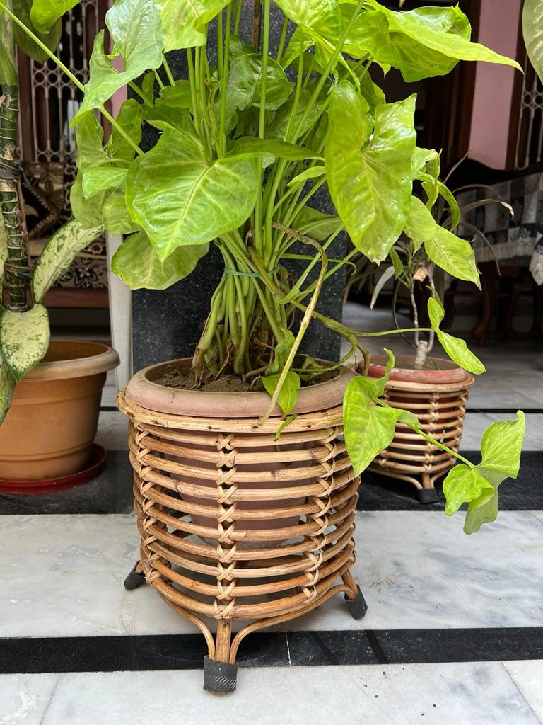 Cane Flower Pot Stand,Planter Stand,Holder for Indoor Plants for Balcony, Livingroom, Kitchen, Garden, Hall (Set of 2 Baskets)