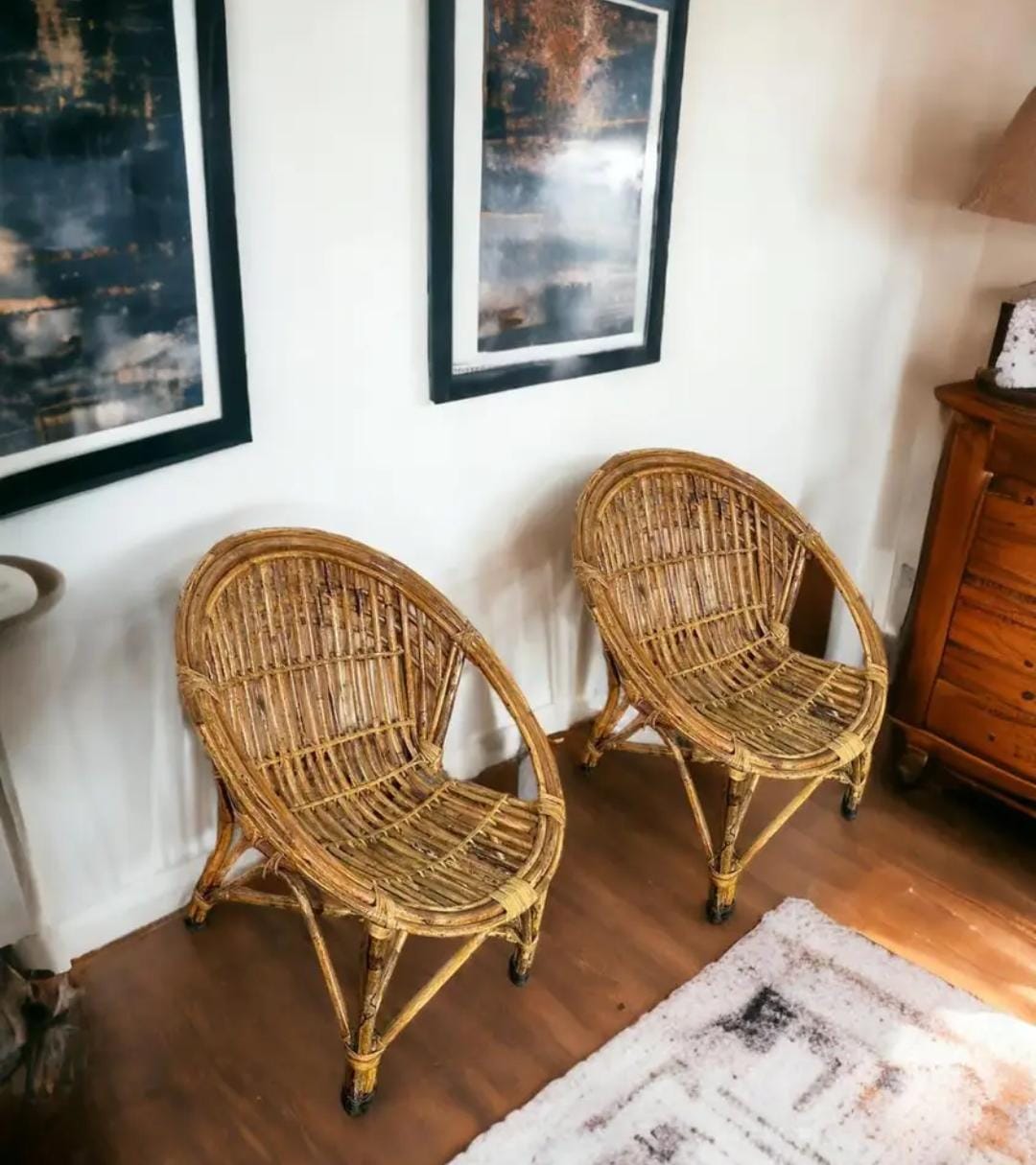 Cane Lawn Chair with Cushion | Handcrafted Round Chair