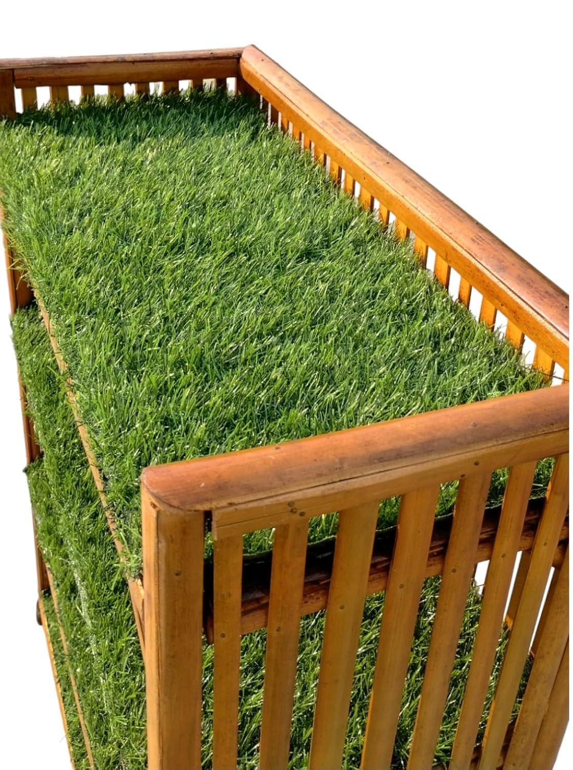 3-Shelf Bamboo Cane Rack for Shoes, Books, Planters with Decorative Grass