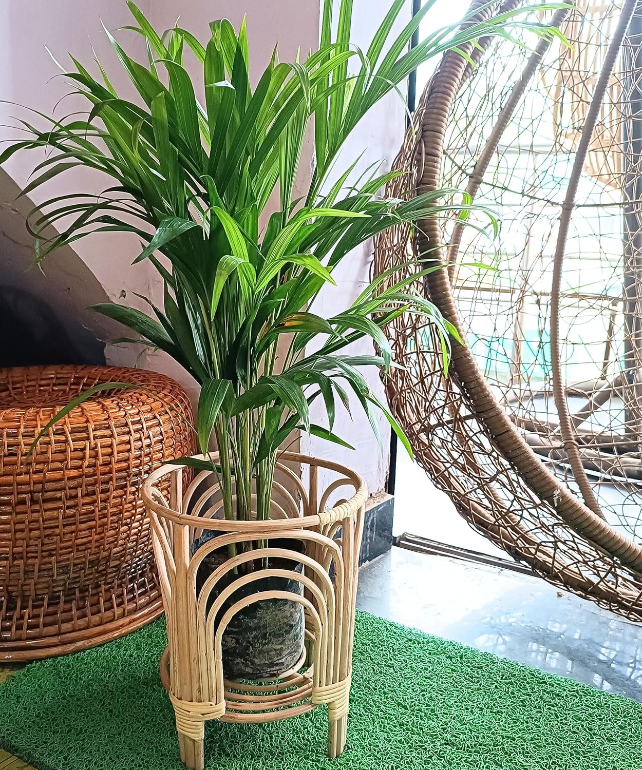 Cane Plant Stand – Indoor & Outdoor Planter Holder for Stylish Home & Garden Décor(pack of 2)
