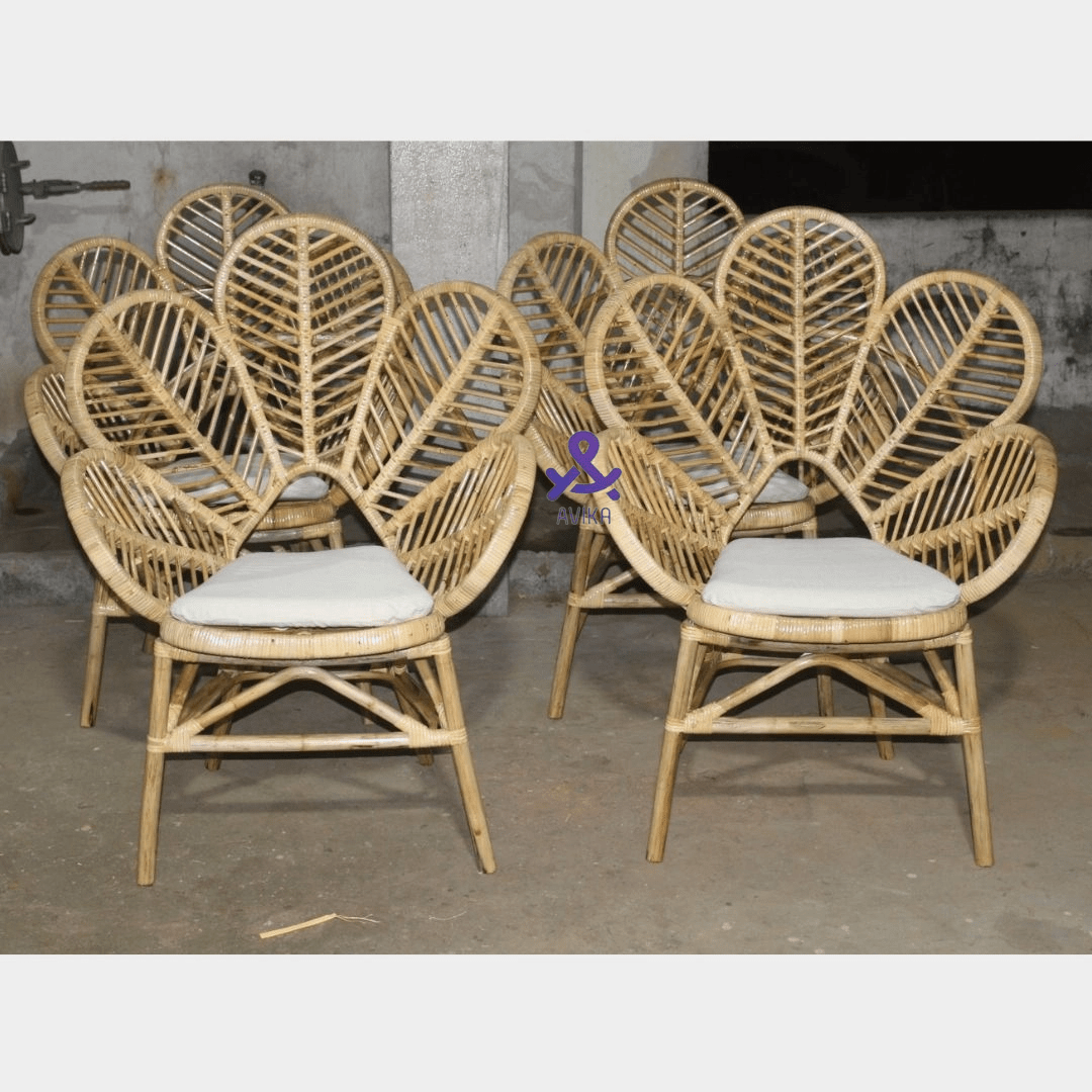 Cane Flower Chair with Cushion - Perfect for Living Room, Events, Lawn, Restaurant, Studio, and Cafe