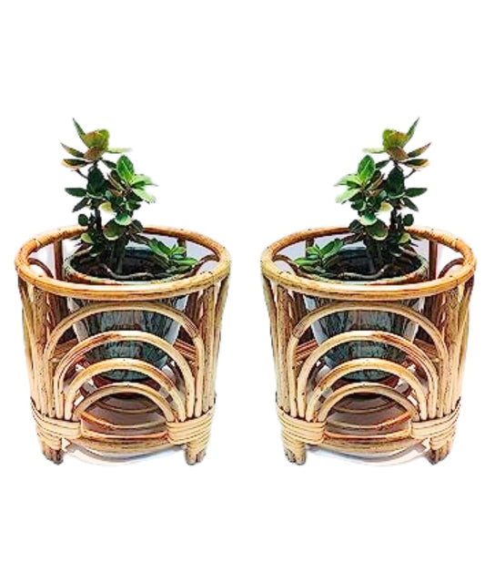 Cane Plant Stand – Indoor & Outdoor Planter Holder for Stylish Home & Garden Décor(pack of 2)