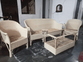 Cane Sofa Set with Table for Home, Living Room, Office, Garden, Resort with Cushion(weaving)