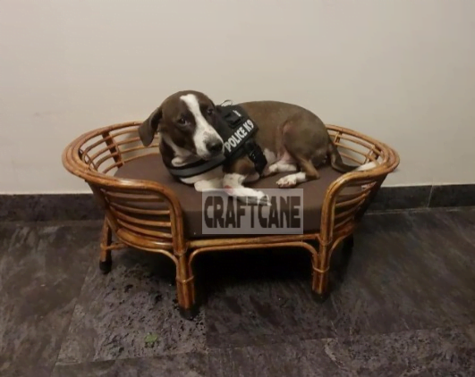 Bamboo Cane PET Bed for Dogs & Cats with Foam (Small Dogs)
