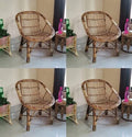 Cane Arm, Lawn, Indoor Outdoor Chair Set with Cushion (Pack of 4 Chairs)