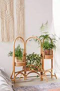 Bamboo Cane Planter 3 in 1 Stand for Balcony Indoor and Outdoor