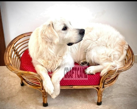 Bamboo Cane PET Bed for Dogs & Cats with Foam (Small Dogs)