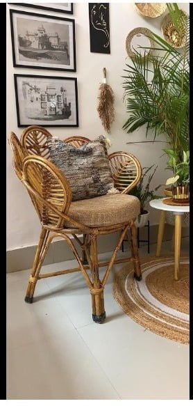 Bamboo Cane Chair for Living Room, Lawn, Restaurant, Studio, Cafe with Cushion