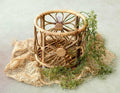Cane Round Newborn Photography Basket