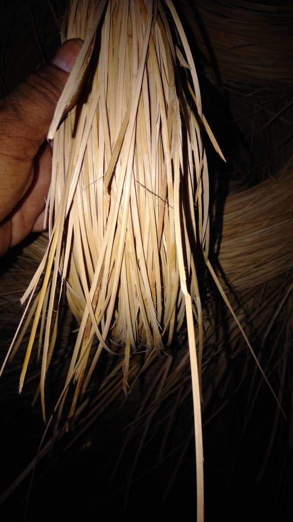 Natural Rattan Cane Wire, Cane Strip, Peel,Tar use for Sofa Weaving,Repair Rattan Chair (2mm) 250 Gram