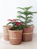 Bamboo Wicker Planter Stand for Home, Terrace,Living Room, Balcony, Indoor, Outdoor Garden,Storage Basket Flower Pot (Pack of 3)