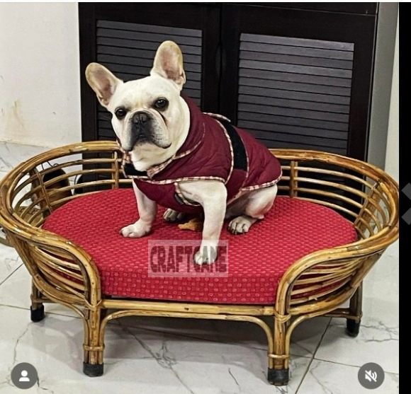 Bamboo Cane PET Bed for Dogs & Cats with Foam (Small Dogs)