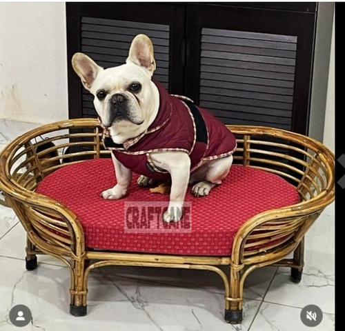 Bamboo Cane PET Bed for Dogs & Cats with Foam (Small Dogs)