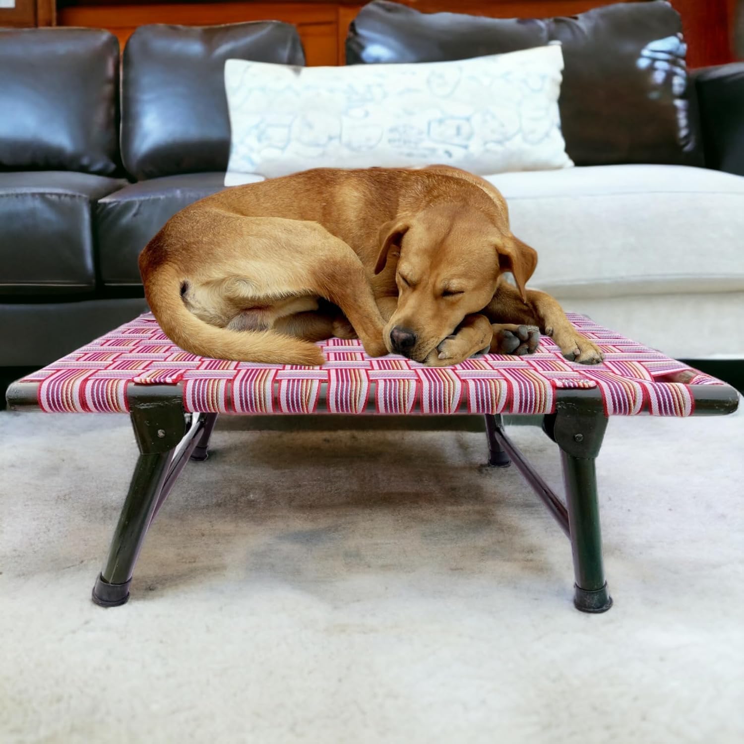 Folding Dog Bed with Sturdy Iron Frame, 6-Leg Support, and Breathable Strips – 42x24x8 inches, Multicolor – Ideal for Indoor & Outdoor Use