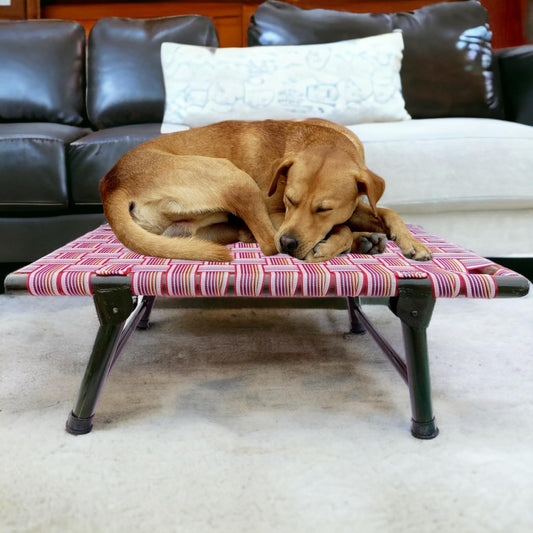 Folding Dog Bed with Sturdy Iron Frame, 6-Leg Support, and Breathable Strips – 42x24x8 inches, Multicolor – Ideal for Indoor & Outdoor Use