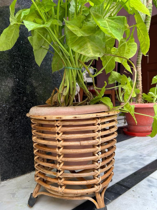 Cane Flower Pot Stand,Planter Stand,Holder for Indoor Plants for Balcony, Livingroom, Kitchen, Garden, Hall (Set of 2 Baskets)