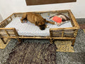 Bamboo Cane Pet Bed For Dogs and Cats with foam (square)