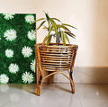 Cane Plant Stand for Home, Living Room, Balcony, Indoor, Outdoor Garden