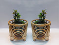 Cane Planter Stand for Home Living Room Balcony 8.5" H x 9" Dia 2 Pcs (Set of 2)