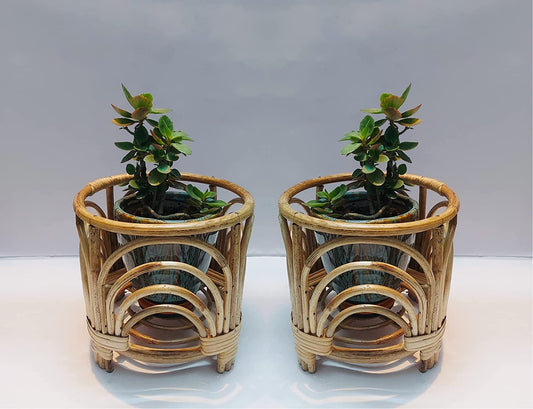 Cane Planter Stand for Home Living Room Balcony 8.5" H x 9" Dia 2 Pcs (Set of 2)