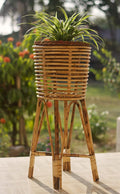 Cane Planter Stand for indoor Plants,Home,Garden,Balcony,Living Room