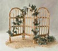 Cane Partition Posing for Newborns and Sitters | Baby Photography Photoshoot
