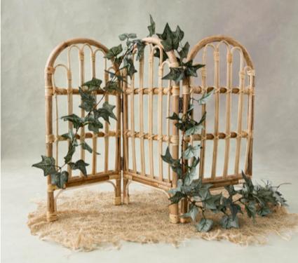 Cane Partition Posing for Newborns and Sitters | Baby Photography Photoshoot