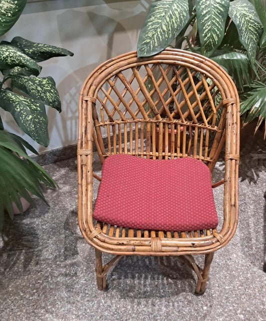 Bamboo Cane Chair for Garden, Balcony Chair, Arm Chair, Room Chair, Lawn Chair with Cushion